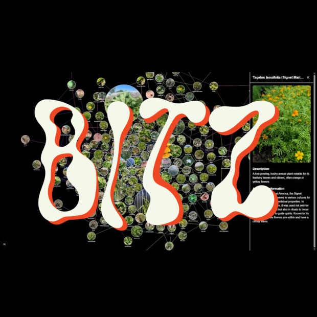 BITZ