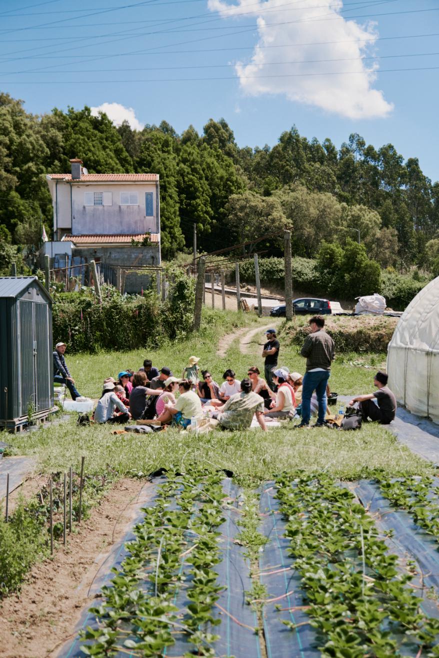 Eyes on the Field: Porto - Image 4