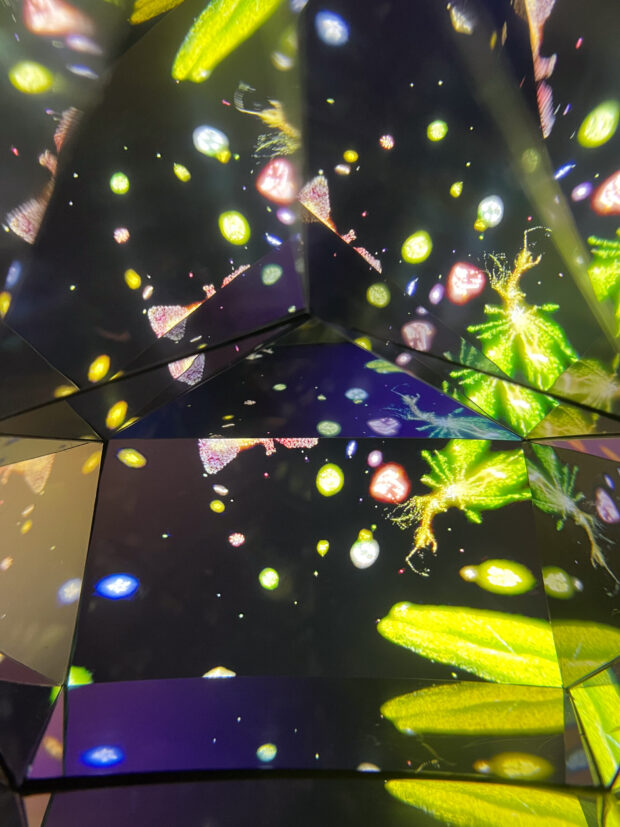 Kaleidoscope Viewer - Image 2