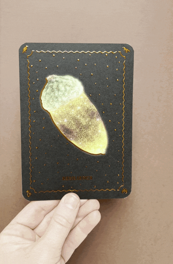 The Oracle Cards - Image 3