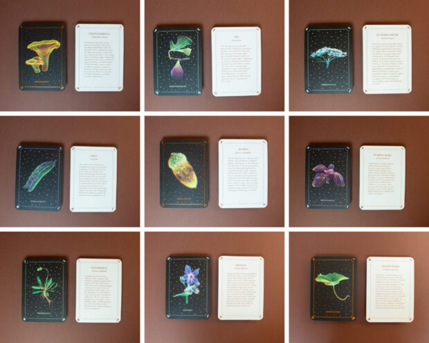 The Oracle Cards - Image 2