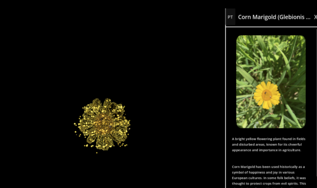 Digital Platform - Image 3