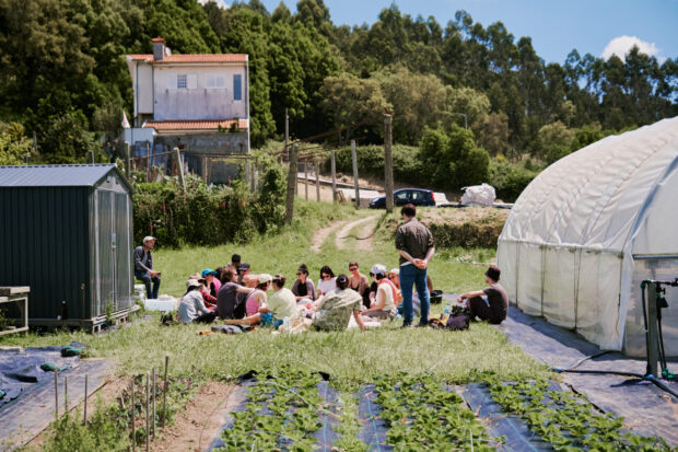 Eyes on the Field: Porto - Image 1