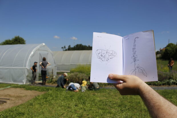 Species Quests in the Field - Image 3